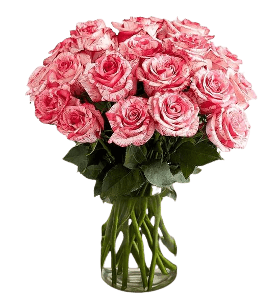 White Rose with Variegated Pink Hues Bouquets North Haledon NJ