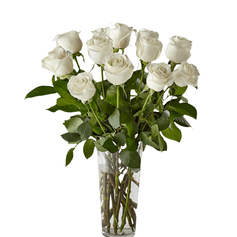 White Roses Bouquet North Haledon NJ
