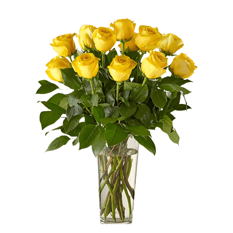 Yellow Roses Bouquet North Haledon NJ