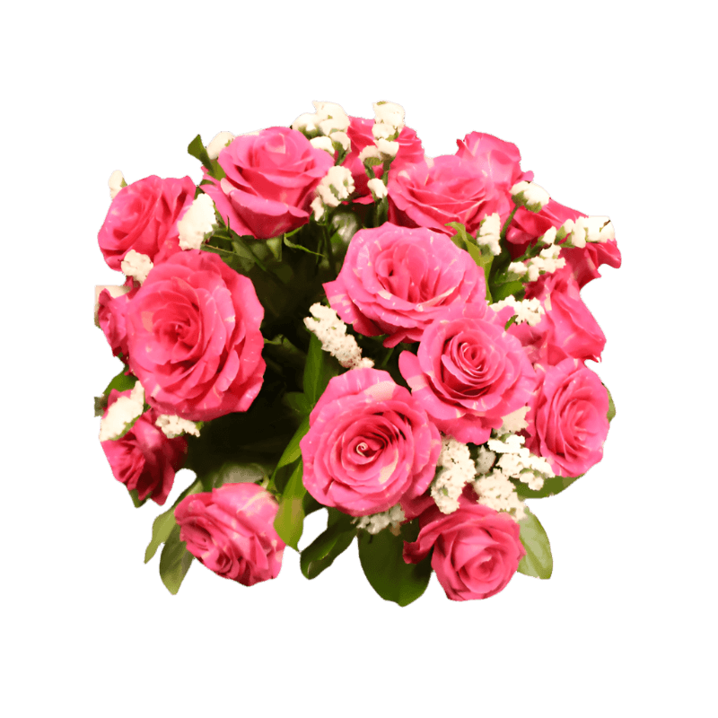 Pandora Roses North Haledon NJ