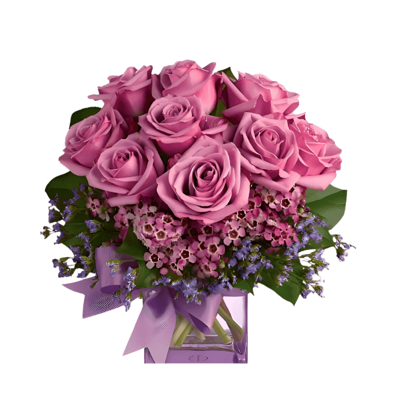 Purple Morning Melody