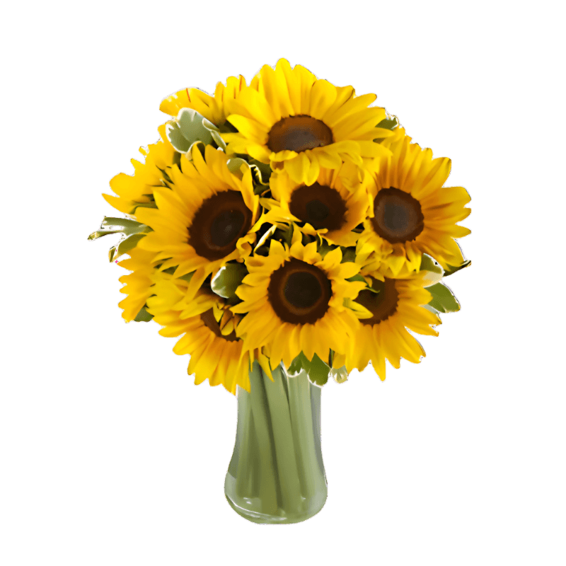 Sunflower Arrangement for Home Decor