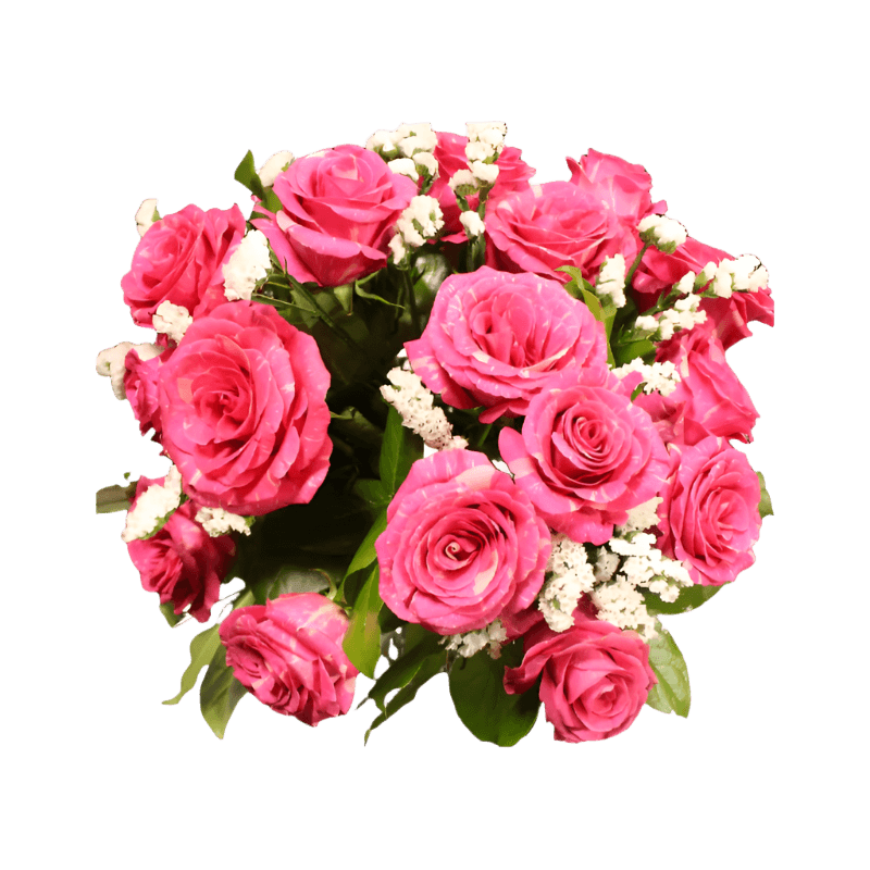 Deep Pandora Rose North Haledon NJ