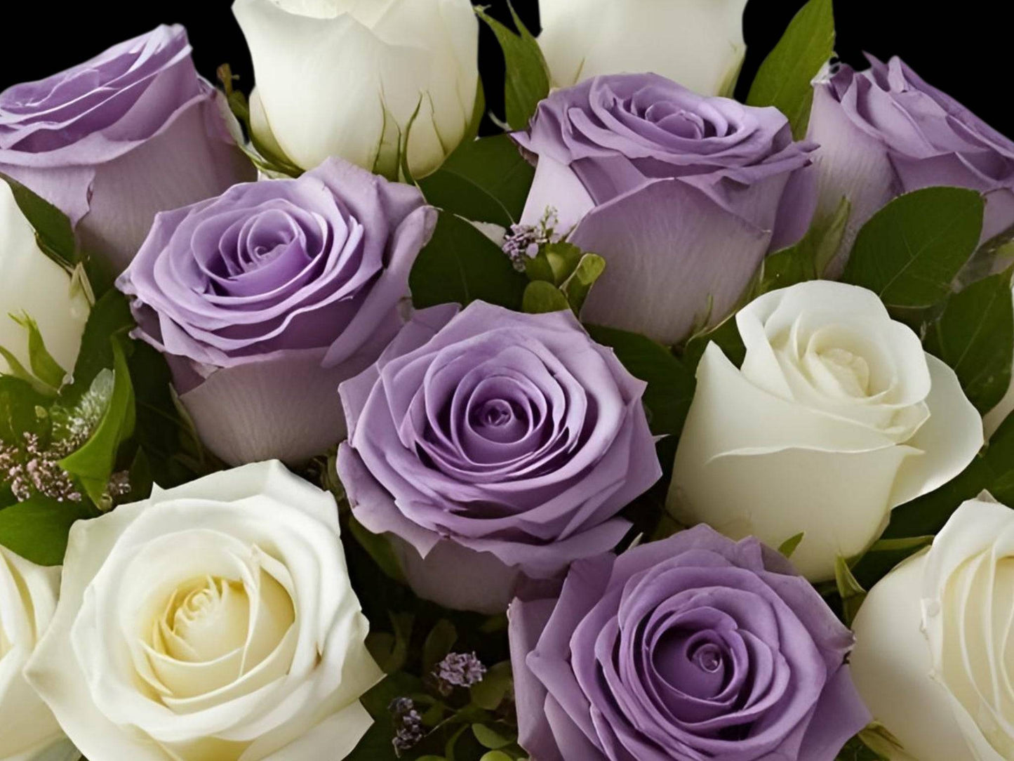 Purple Rain - Lavender & White Rose Combo