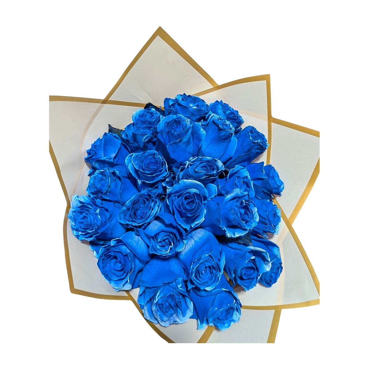 Hand-tinted blue rose bouquet in gold-bordered white wrap on white background