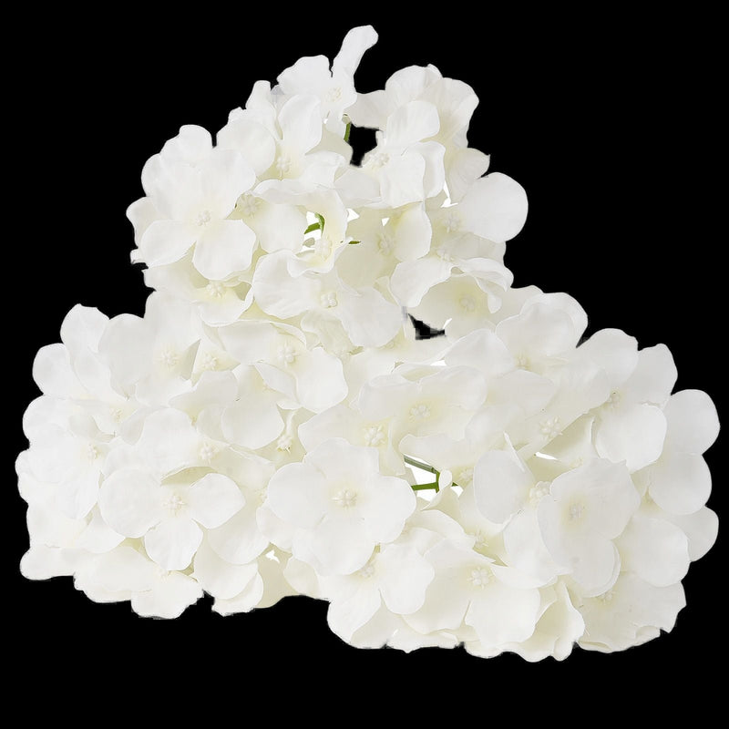 White silk artificial hydrangea blooms on a black background