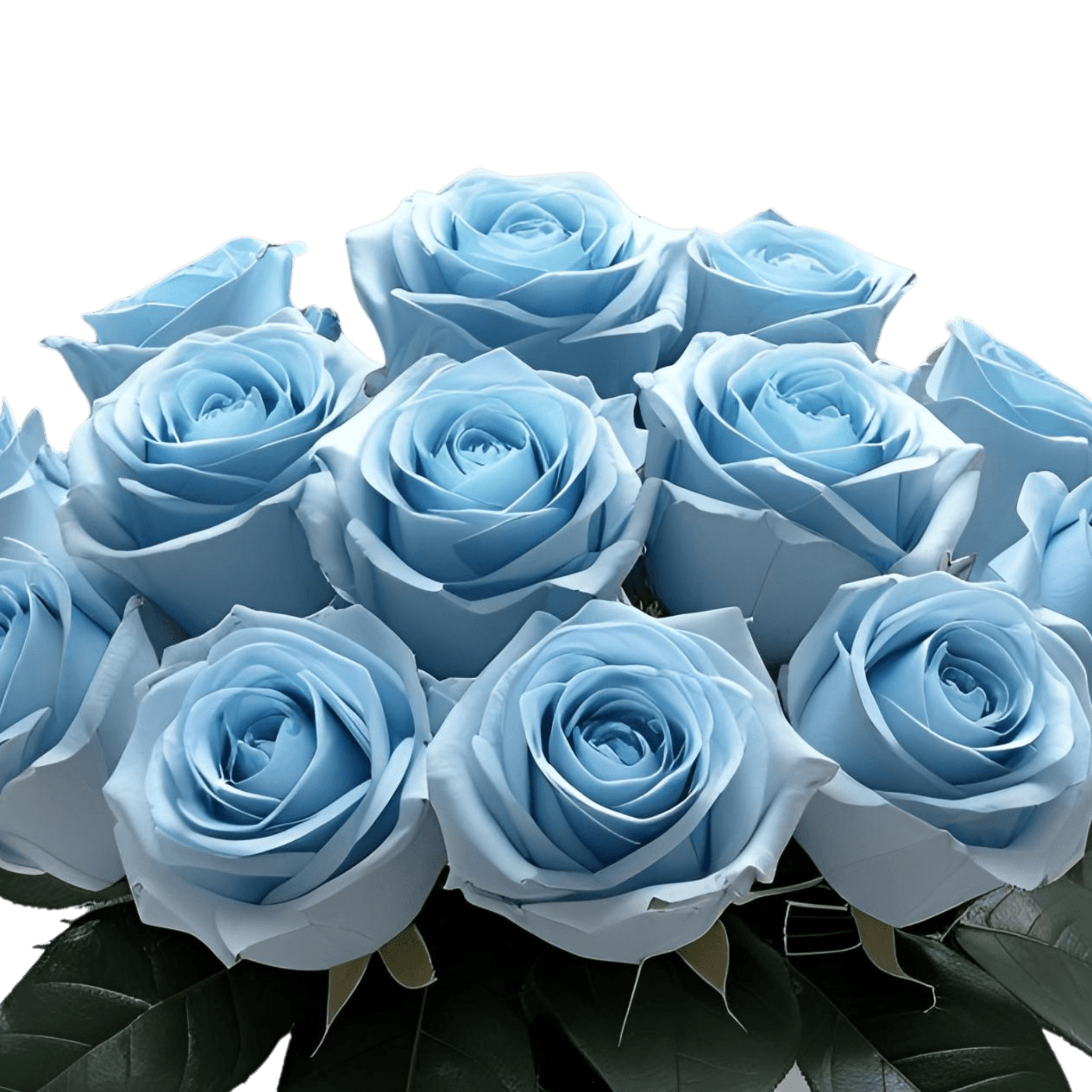 Big Blue - Tinted Blue Roses Bouquet - Flauraly Flowers and Plants #