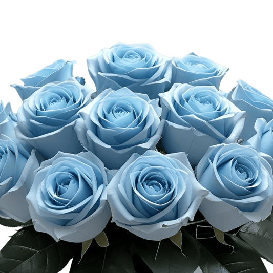 Big Blue - Tinted Blue Roses Bouquet - Flauraly Flowers and Plants #