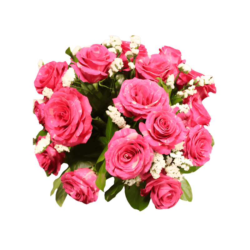 Roses Flauraly Flowers and Plants Floral Arrangement North Haledon Florist