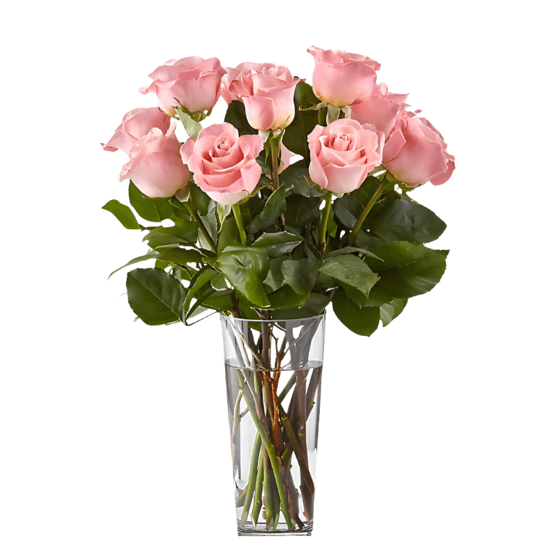 Long Pink Roses Deep Pink Long Stem Roses with Vase - Elegant Floral Gift – Flauraly ...
