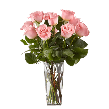 Deep Pink Rose Bouquets North Haledon NJ
