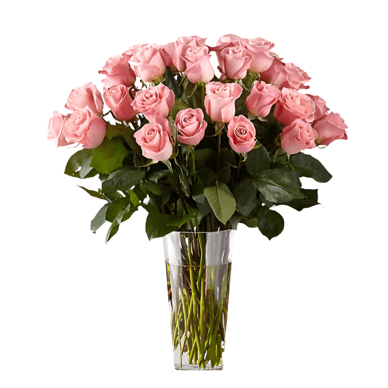 Long Pink Roses Deep Pink Long Stem Roses | Flauraly