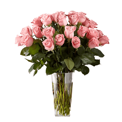 Long Stem Pink Roses Bouquets North Haledon NJ
