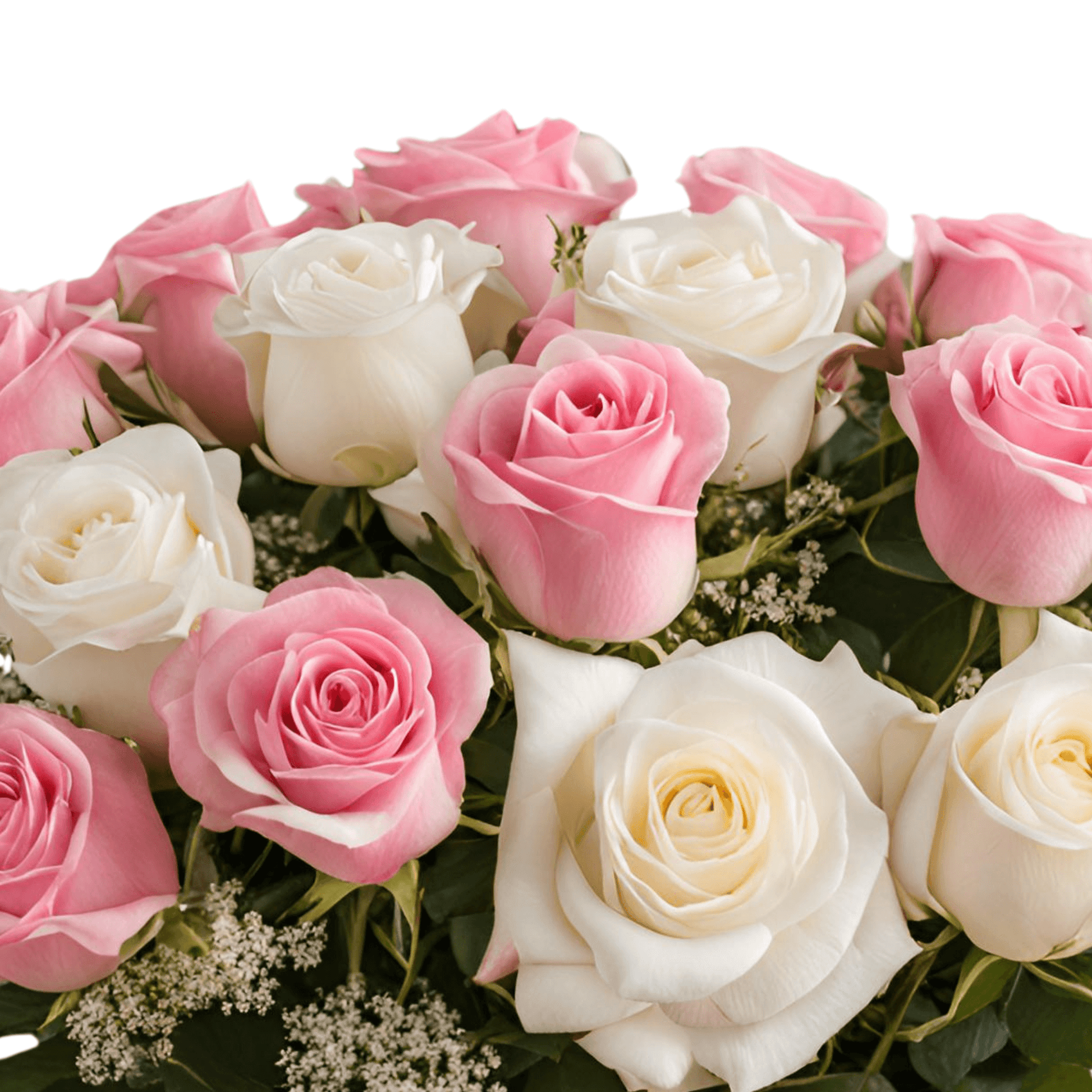 Too Cute - Pink White Rose Bouquet - Flauraly Flowers and Plants #