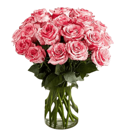 White Rose with Variegated Pink Hues Bouquets North Haledon NJ
