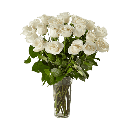 Crisp & Clean White Roses Bouquet North Haledon NJ
