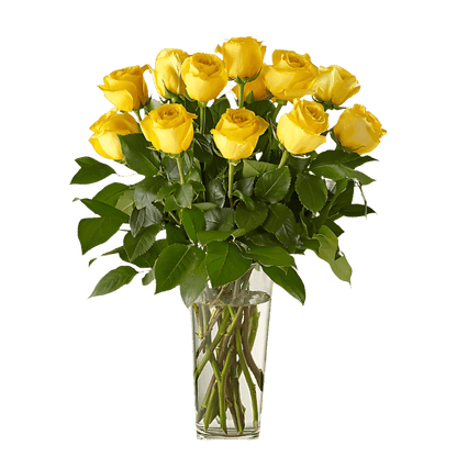 Yellow Roses Bouquet North Haledon NJ