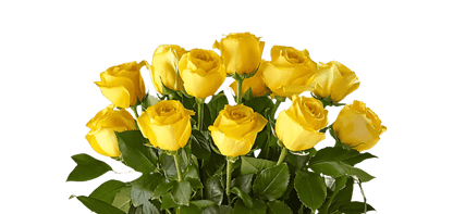 Shop Deep Friendship Yellow Roses Bouquet featuring vibrant yellow roses from Unique Rose Collection, a different type of flower experience