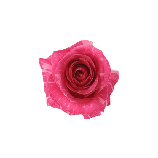 Deep Pandora - Bouquet Only