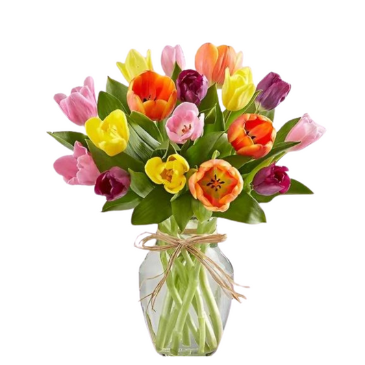 Spring Tulip Medley