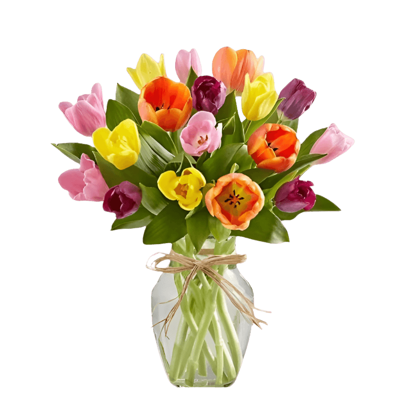 Floral Arrangement Flauraly Flowers and Plants Floral Arrangement North Haledon Florist