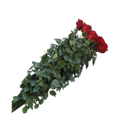 Long Stem Red Roses