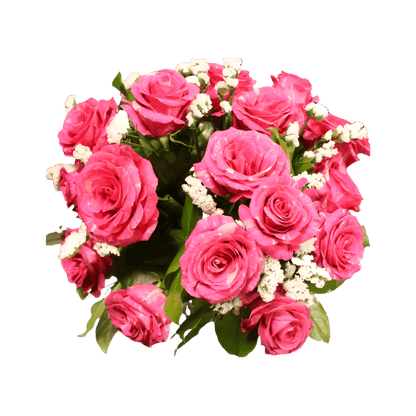 Deep Pandora Rose North Haledon NJ