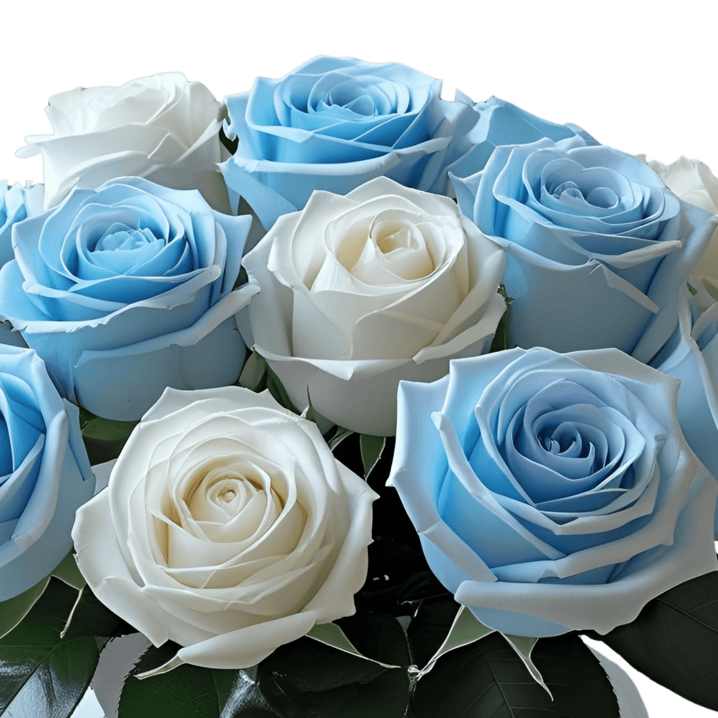 Tinted Blue and White Rose Bouquet - Flauraly Flowers and Plants #