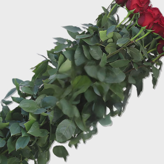 110cm Valentine's Day Red Roses video