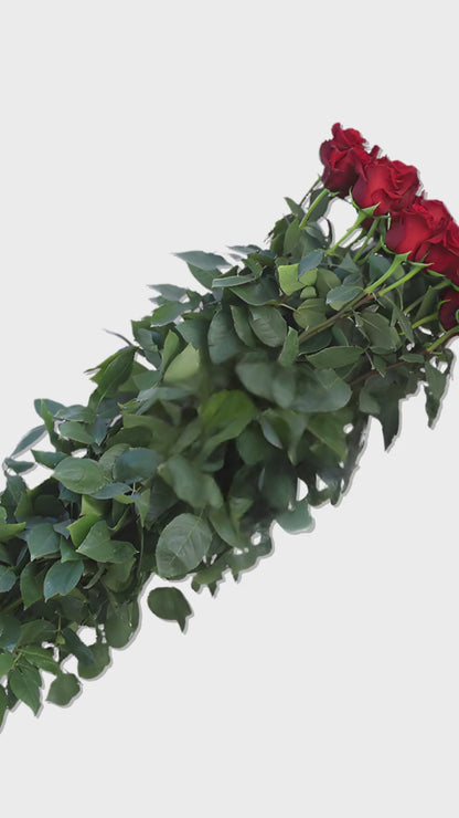 110cm Valentine's Day Red Roses video