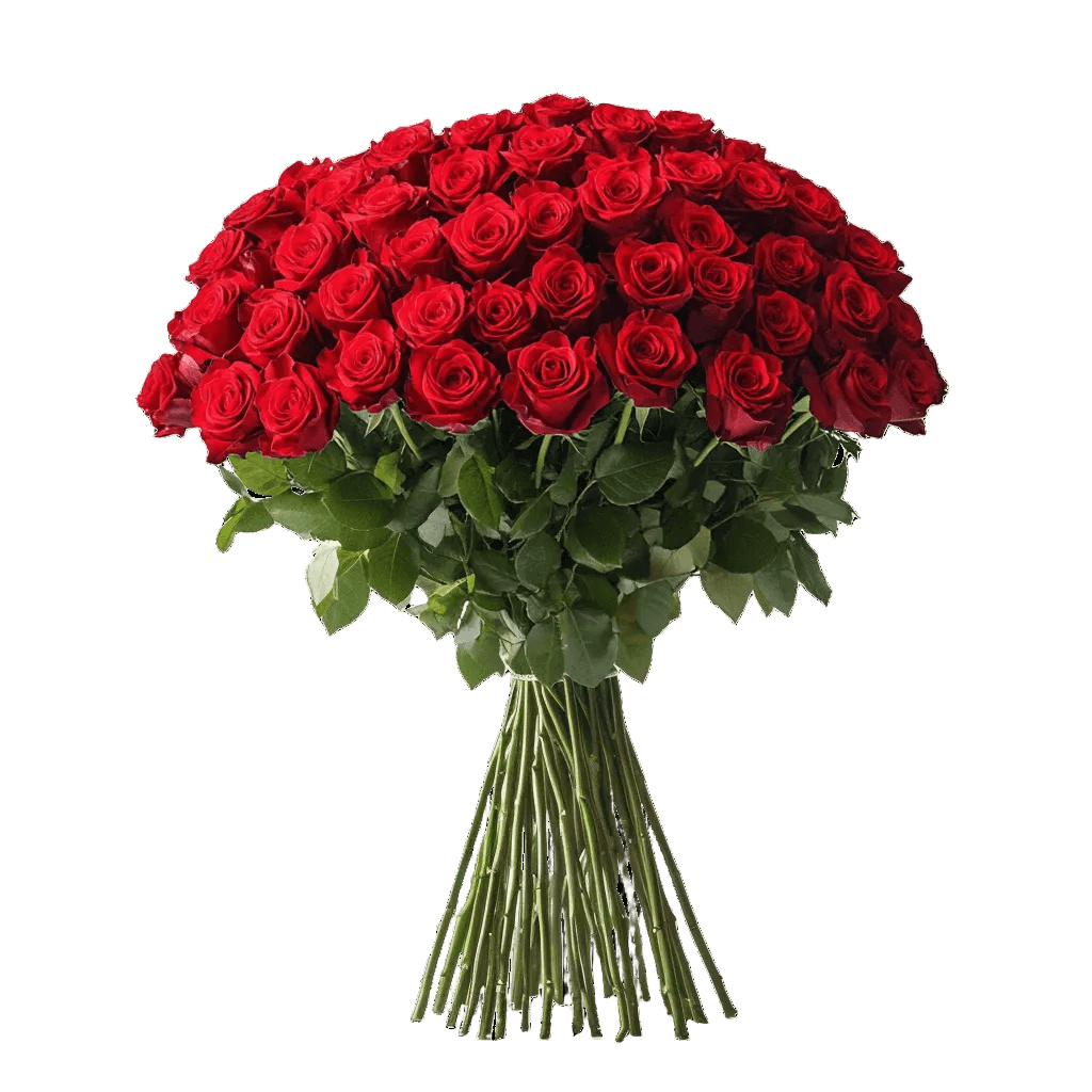 Long Red Roses Line Extra Long Red Roses Bouquet for Valentine's Day