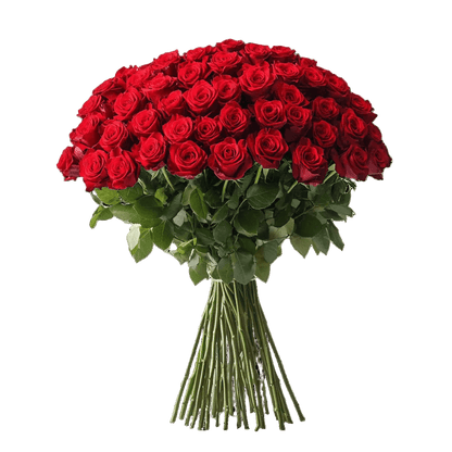 Extra-long 110cm Red ROses