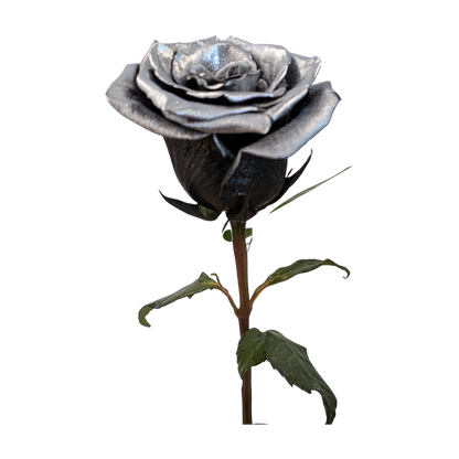 Metallic silver rose with black base petals, green leaves and a natural green stem, from Flauraly's Rose Collection